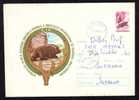 BEARS OURS, HUNTING, Stationery Cover 1968 - Romania.(F) - Bären