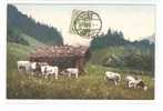 Suisse- Schweiz -Zwitserland Switzerland. 1906  BASEL(2scans) - Andere & Zonder Classificatie