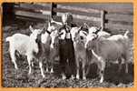 Ch062 Garçon Avec 6 Chèvres Blanches. Goat, Ziege. Cachet Teufen 1934 Vers Wil - Wil