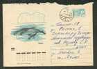 USSR, NARWHAL  WHALE , ARCTICA,  POSTAL  STATIONERY 1971, COVER USED, PERM - Whales