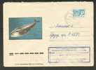 USSR,   WHALE , ARCTICA,  POSTAL  STATIONERY 1974, COVER USED - Whales