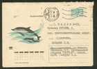 USSR,  DOLPHIN,  POSTAL  STATIONERY 1970, COVER USED - Dolphins