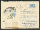 USSR,  GREENLAND SEAL,  POSTAL  STATIONERY 1971, COVER USED - Other & Unclassified