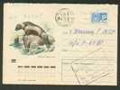 USSR,   SEAL,  POSTAL  STATIONERY 1971, COVER USED - Otros & Sin Clasificación