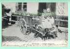 BELGIQUE - BRUXELLES - AGRICULTURE - LAITIERE - ATTELAGE De CHIEN - VOITURE à CHIEN - CHARETTE à 3 CHIENS - CLICHE 1900 - Petits Métiers