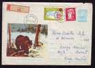 Bear Ours 1964 Stationery Cover  Registred From Cluj Sent To Bocsa-Romana. - Ours