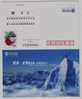 Climbing,Snow Mountain Peak Tackling Climber,China 2004 Shenyang Mobile Advertising Pre-stamped Letter Card - Arrampicata