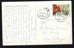 Bear Stamp On PC 1964. - Cartas & Documentos