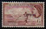 BARBADOS   Scott #  240  F-VF USED - Barbados (...-1966)