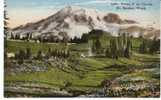 Camp Of The Clouds On Mt. Rainier National Park On C1910s Vintage Postcard - Parques Nacionales USA