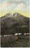Camp Wigwam Indian Henry's Park On Mt. Rainier 1912 Vintage Postcard - USA Nationalparks