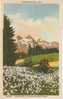 Paradise Inn WA Postmark Pierce County DPO-1 4-bar Cancel Postmark On 1937 Vintage Curteich Linen Mt. Rainier Postcard - Altri & Non Classificati