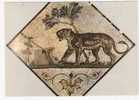 Pantera / Panther/ Panthère;Cor De Chasse ; Musée De Naples / Napoli; Mosaique En Provenance De POMPEI ; TB - Leeuwen