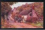 Early J. Salmon ARQ A.R. Quinton Postcard Horse & Cart "A Devonshire Lane" Near Lynton - Ref 418 - Lynmouth & Lynton