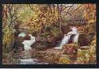 Early J. Salmon ARQ A.R. Quinton Postcard Glen Lyn Lynmouth Devon - Ref 418 - Lynmouth & Lynton