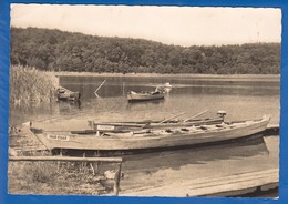 Deutschland; Korswandt A. Usedom; Am Wolgostsee Mit Fischerboote - Usedom