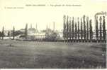 RARE CARTE POSTALE  PONT DE CHERUY  ISERE   VUE GENERALE DES USINES GRAMMONT - Pont-de-Chéruy