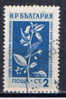 BG+ Bulgarien 1953 Mi 872 Pflanze - Usati