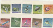 Manama-Apollo Mission Imperforated Set MNH - Asia