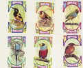 Ras Al Khaima-Birds Imperforated Set MNH - Parrots