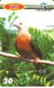 TARJETA DE BRASIL DE UNA PALOMA  (BIRD-PAJARO) - Unclassified