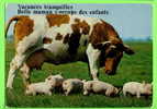 COCHONS - VACANCES TRANQUILLES ! BELLE MAMAN S´OCCUPE DES ENFANTS (VACHE) - CIRCULÉE EN 1984 - - Schweine