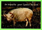 COCHON - JE TRAVAILLE POUR L´AMOUR DU LARD - COMICS - HUMOUR - COLLECTION ORION - - Schweine