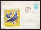 BIRD;PIGEON 1965 Very Rare Stationery Cover STE - Romania. - Palomas, Tórtolas