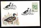 BIRDS -Ducks -CANARDS -  Cover Obliteration Concordante 1993 Romania. - Eenden