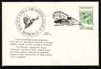 BIRDS -Ducks -CANARDS -  Cover Obliteration Concordante 1993 Baisoara-Romania. - Patos