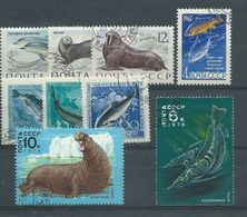 RU003   Russia -   Fauna Marina, VARI   9 V.  - Usato - Colecciones