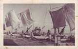 Probable Nouvelle Guinée New Guinea Boats Fishermen - Papoea-Nieuw-Guinea