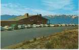 Hurricane Ridge Olympic National Park Washington State, Roadside 1950s Vintage Autos On Postcard - Other & Unclassified