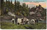 Mt. Baker From Magama Camp On Deming Trail North Cascade Mountains WA State On 1910s Vintage Postcard, Camping - Other & Unclassified