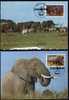 4 Maximumkarten Leben Der Elefanten Uganda 361/4 SST 20€ - Uganda (1962-...)