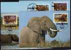 4 Maximumkarten Leben Der Elefanten Uganda 361/4 SST 20€ - Elefanten