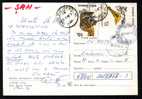 Very Rare Franking 60 Lei !! Bird And Animal Stamps On Postcard  ,1996. - Lettres & Documents