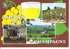 Amitiés De La CHAMPAGNE-vendanges Vignobles Et Pressoir - Champagne - Ardenne