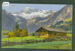 PAYSAGE ALPESTRE A ADELBODEN    - TB - Adelboden