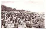 SCHEVENINGEN .STRANDLEVEN. - Scheveningen