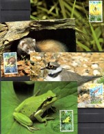 Maxicards Kleintiere WWF-Set 83 Liechtenstein 967/0 4x MC 6€ Dokumentation Naturschutz 1989 Wildlife Fauna Fürstentum FL - Covers & Documents