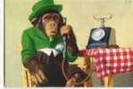 Cpm Singe Et Telephone Monkey - Monos