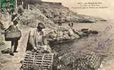 CPA- 29 - Le Port De BESTREE- Préparatifs Pour La Pêche Aux Langoustes - 956 - La Pointe Du Raz