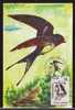 Oiseaux Hirondelles ,1995 Maximum Card Romania. - Swallows