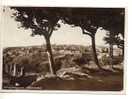 Calabria CATANZARO Panorama 1939 Viaggiata - Formato 10x15 Cm Circa - Catanzaro