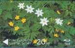 # FINLAND MD17 Wood & Yellow Anemone 20 Magnetic 12.91 -flower,fleur- Tres Bon Etat - Finland