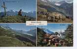 (CH164) BLATTEN . BELALP . FOGGERNHORN - Blatten