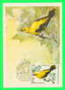 OISEAUX - BIRD - CARTE MAXIMUM RUSSE,1979 - - Maximumkarten