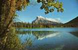 CANADA-THE CANADIAN ROCKIES In Natural Color Mount Rundle In The Autumn-MB - Other & Unclassified