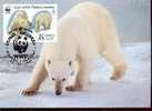 RUSSIE  WWF CARTE MAXIMUM NUM.YVERT 5394  FAUNE MENACEE  OURS BLANC - Cartes Maximum